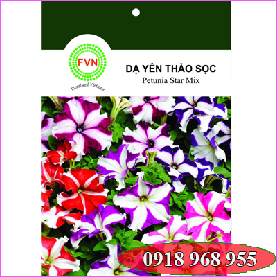 In tui hạt giống| congtyinbaobigiay.com